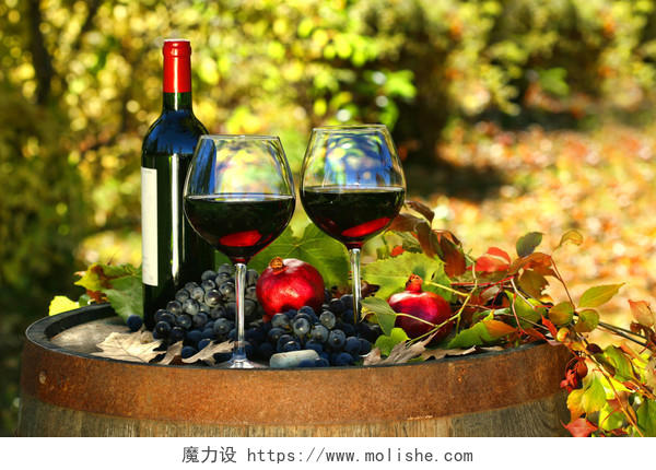 秋天森林背景下的葡萄酒和葡萄